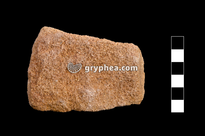 Grès rose - échantillon - gryphea.org